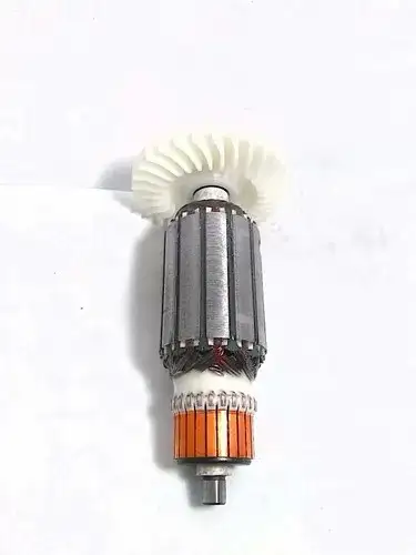 INDUZIDO 220V